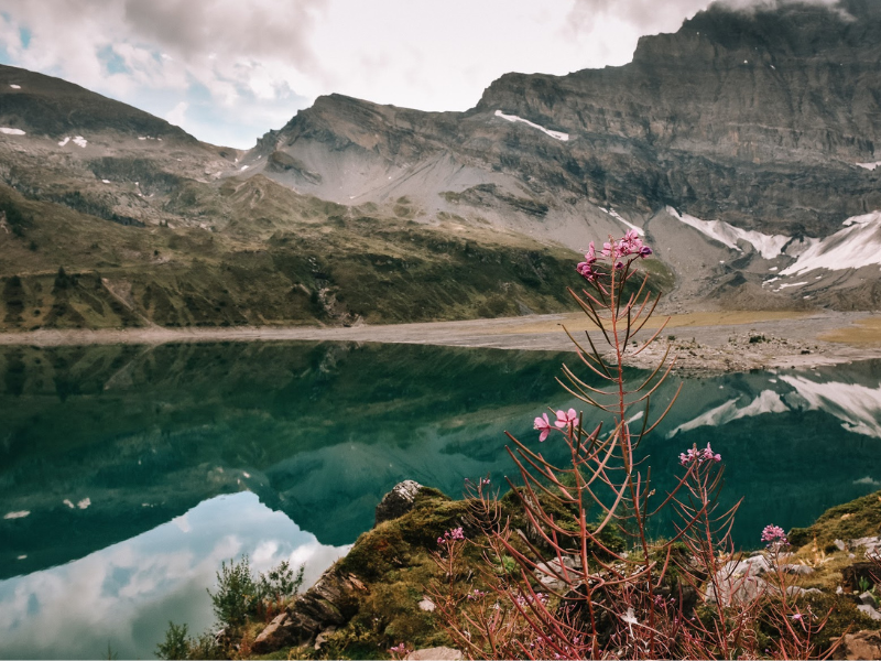 Coiffeur viêtnamien